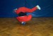 break_dance_text_foto_1.jpg